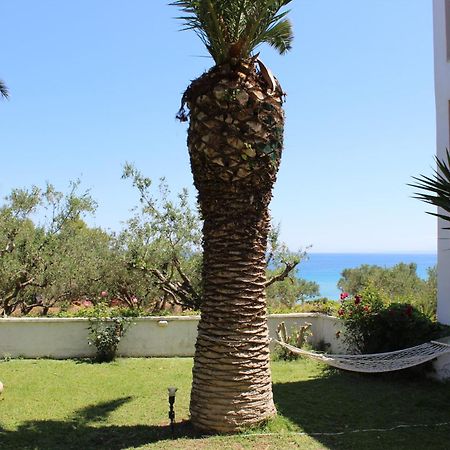 Panorama Studios & Apartments Amoudi Luaran gambar
