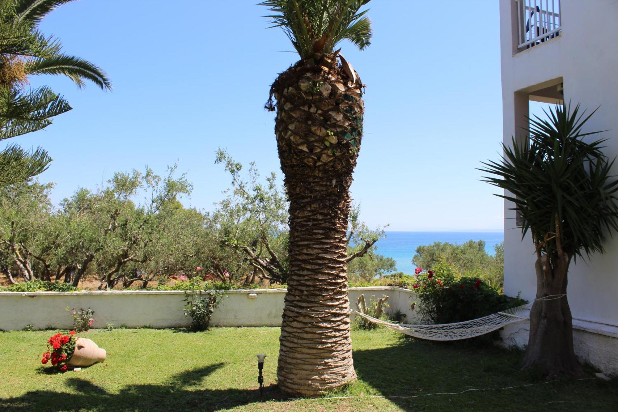 Panorama Studios & Apartments Amoudi Luaran gambar